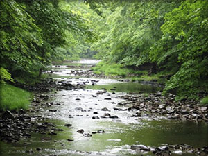 Tinicum Creek