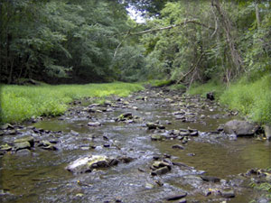 Paunacussing Creek